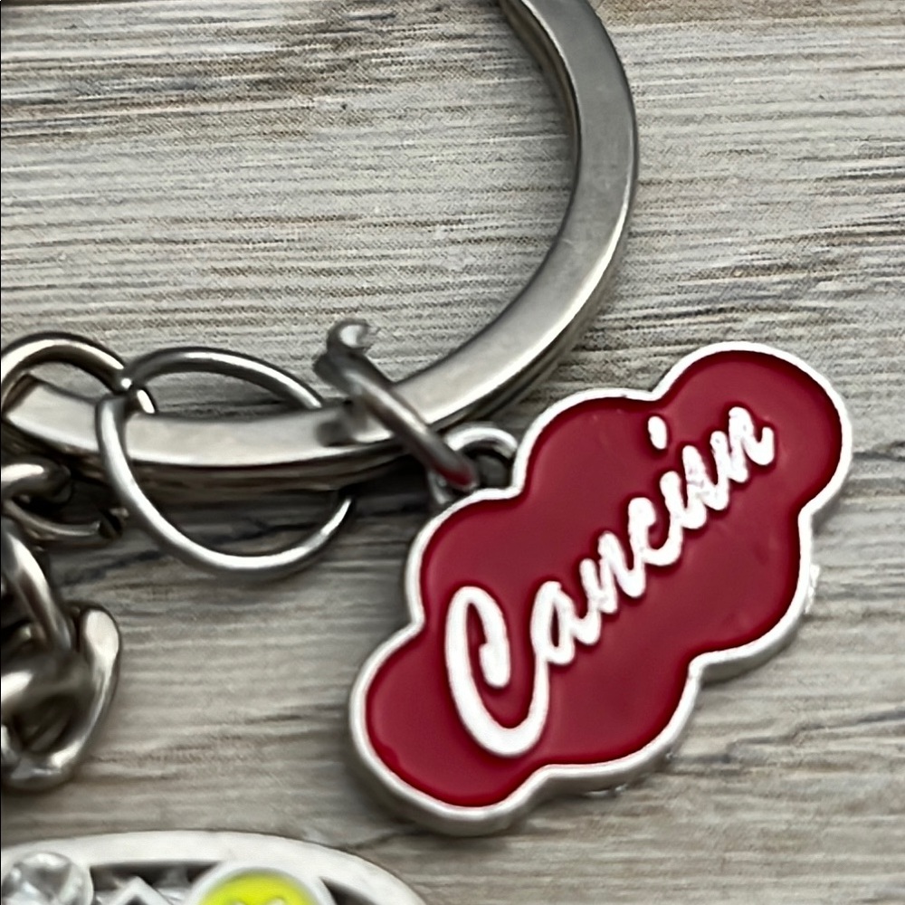 Colorful Dolphin Keychain - Picture 3 of 5